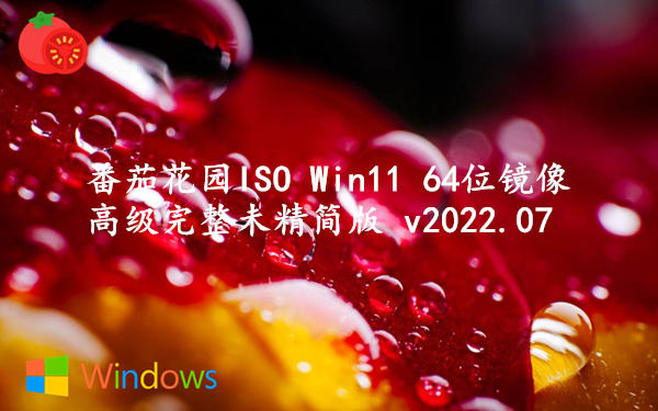 番茄花园ISO Win11 64位镜像 高级完整未精简版 v2022.07