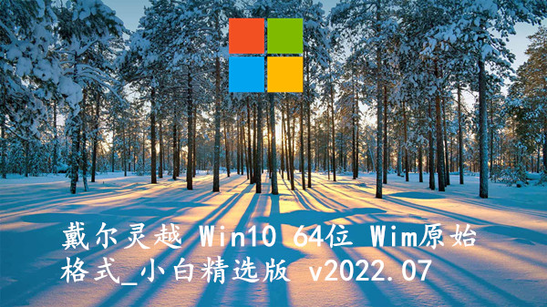戴尔灵越 Win10 64位 Wim原始格式_小白精选版 v2023.11