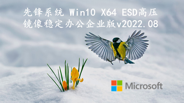 先锋系统 Win10 X64 ESD高压镜像_稳定办公企业版 v2022.08
