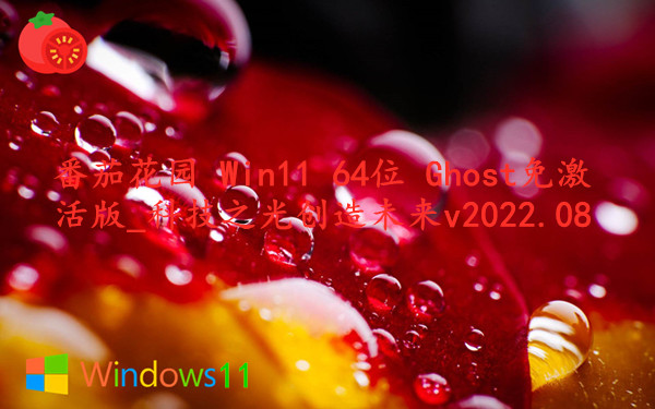 番茄花园 Win11 64位 Ghost免激活版_科技之光创造未来 v2022.08