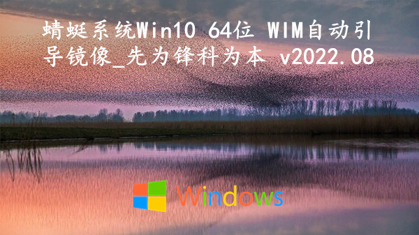 蜻蜓系统 Win10 64位 WIM自动引导镜像_先为锋科为本 v2022.08