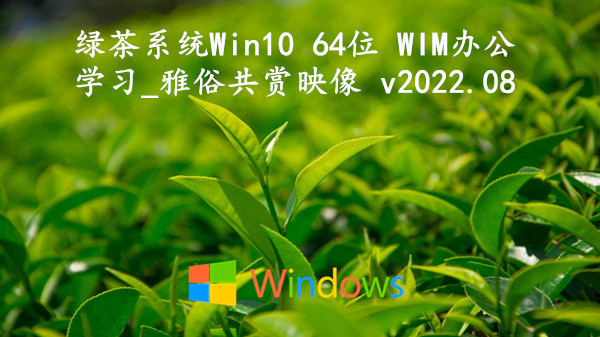 绿茶系统 Win10 64位 WIM办公学习_雅俗共赏映像 v2022.08