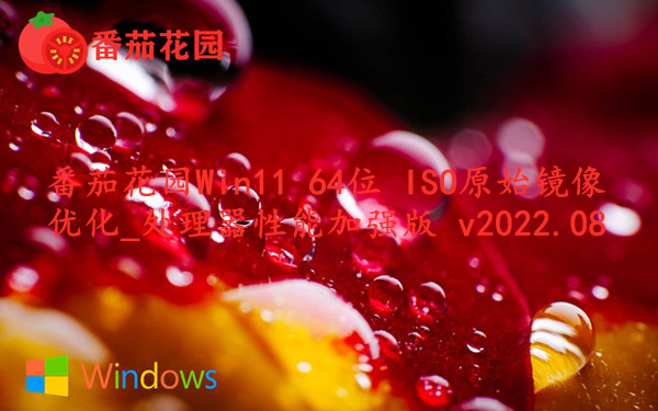 番茄花园 Win11 64位 ISO原始镜像优化_处理器性能加强版 v2022.08