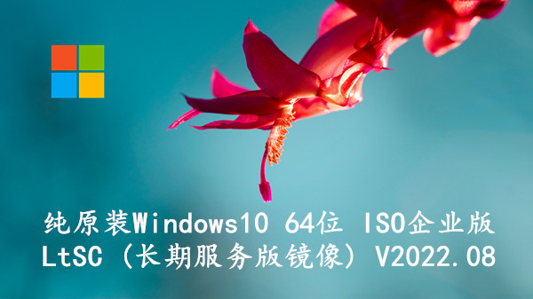 纯原装Windows10 64位 ISO企业版LtSC (长期服务版镜像) V2022.08