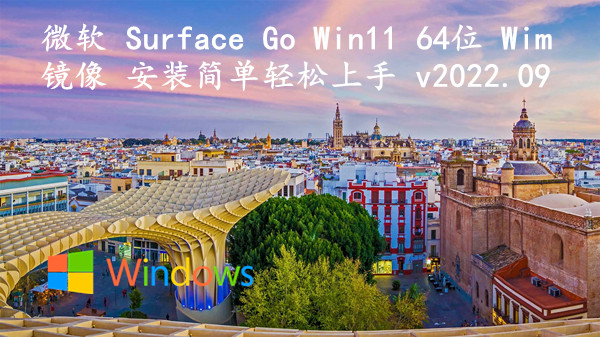 微软 Surface Go Win11 64位 Wim镜像 安装简单轻松上手 v2024.01