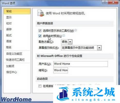 在Word2010中打开和关闭实时预览功能