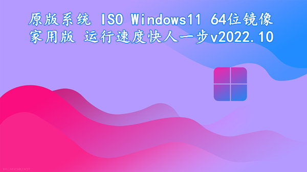 原版系统 ISO Windows11 64位镜像家用版 运行速度快人一步 v2022.10