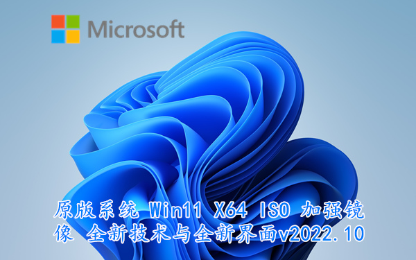 原版系统 Win11 X64 ISO 加强镜像 全新技术与全新界面 v2022.11