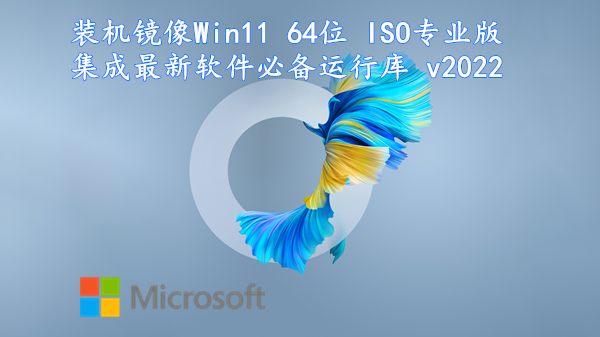 装机镜像 Win11 64位 ISO专业版 集成最新软件必备运行库 v2022.10