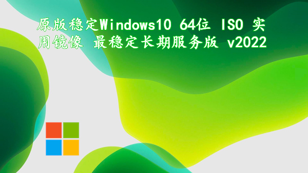 原版稳定 Windows10 64位 ISO 实用镜像 最稳定长期服务版 v2022.11