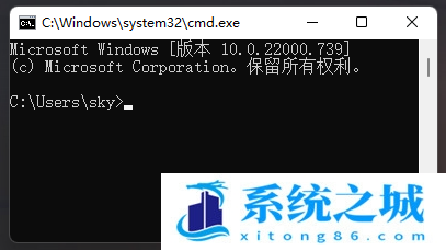 Win11,ping,网络地址步骤