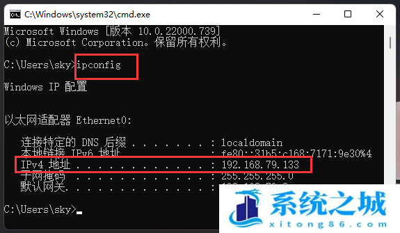 Win11,ping,网络地址步骤