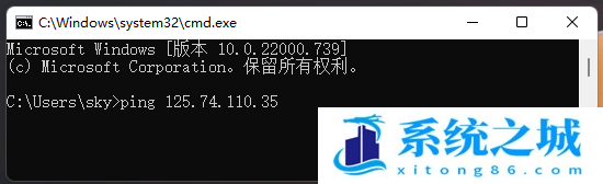 Win11,ping,网络地址步骤