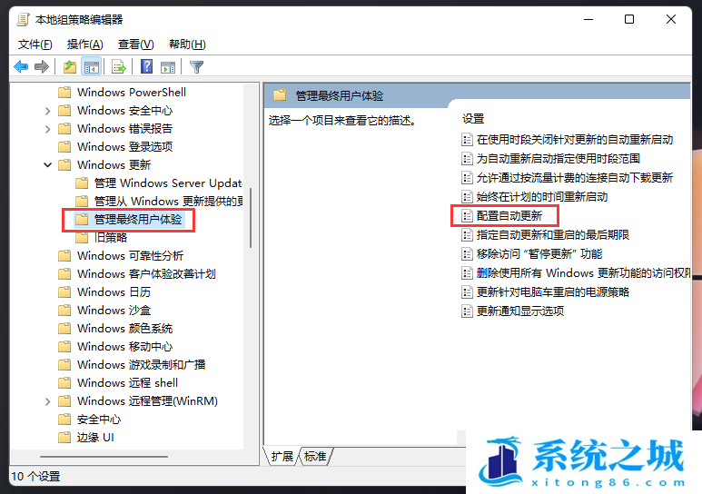 Win11,系统更新,Win11更新步骤