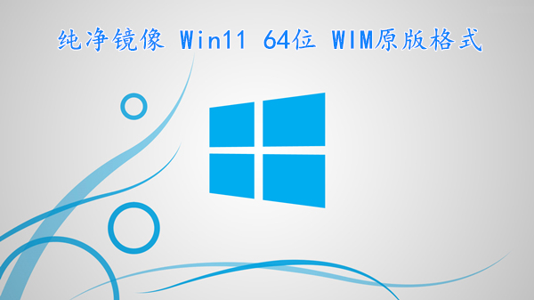 纯净镜像 Win11 64位 WIM原版格式 游戏软件流畅运行 v2022.11