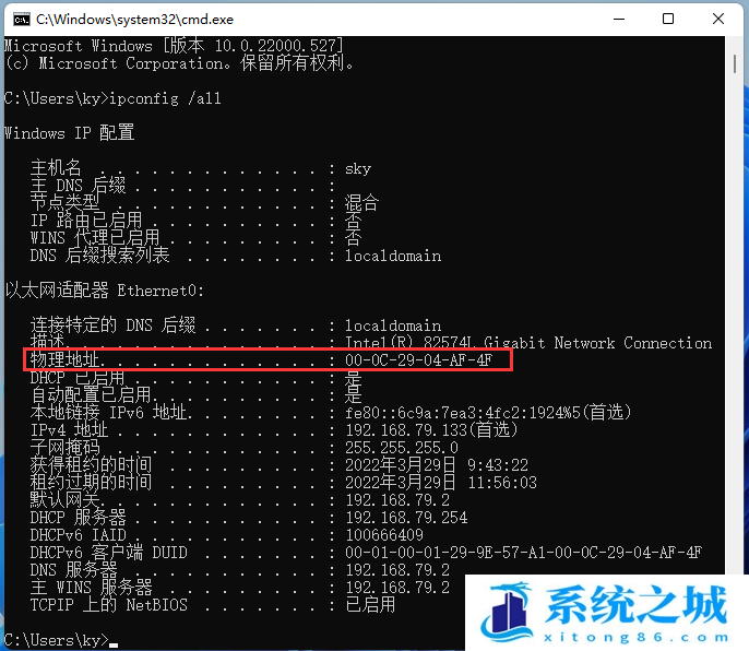 Win11,mac地址怎么查,MAC地址,mac地址查询步骤