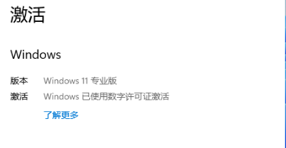 Win11专业版激活工具下载_Win11专业版永久激活软件v2023