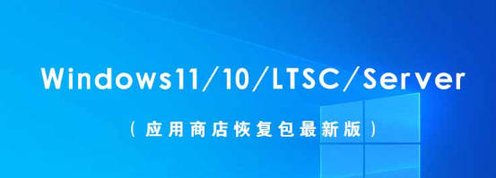 2023年最新Win11/10/LTSC/Server应用商店离线恢复安装包