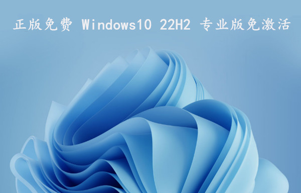 正版免费 Windows10 22H2 ISO 最新系统镜像 专业版免激活 v2023.02