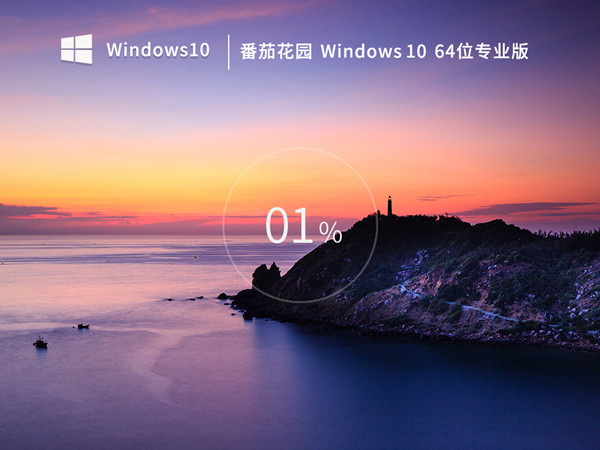 番茄花园 Ghost Windows 10 64位 中文专业版 稳定优化数字激活 v2023.02