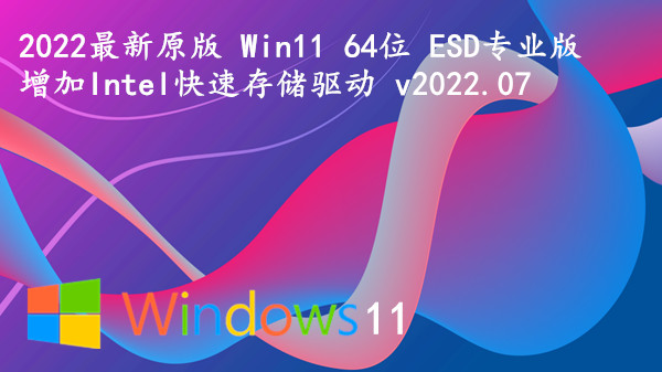 2023最新原版 Win11 64位 ESD专业版 增加Intel快速存储驱动 v2023.08