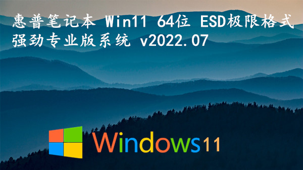 惠普笔记本 Win11 64位 ESD极限格式_强劲专业版系统 v2023.08